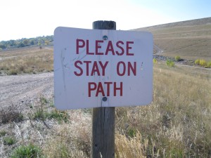 three lessons learned in my year living without tv