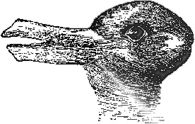 Tamsen Webster and the duck bunny