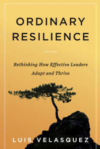 Ordinary Resilience by Luis Velasquez